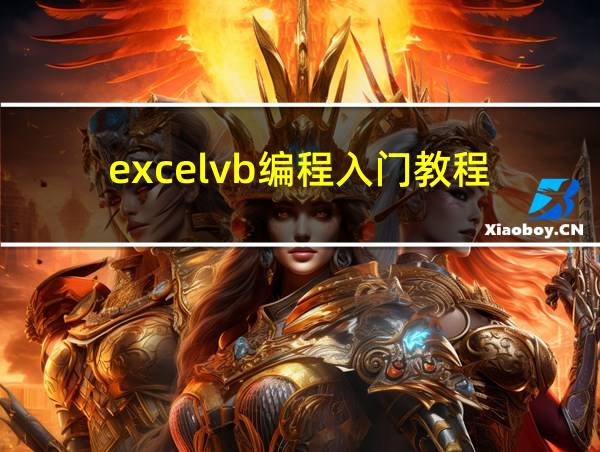 excelvb编程入门教程的相关图片