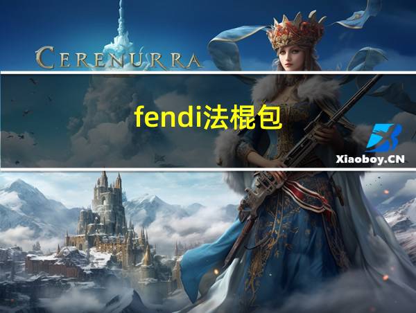 fendi法棍包的相关图片