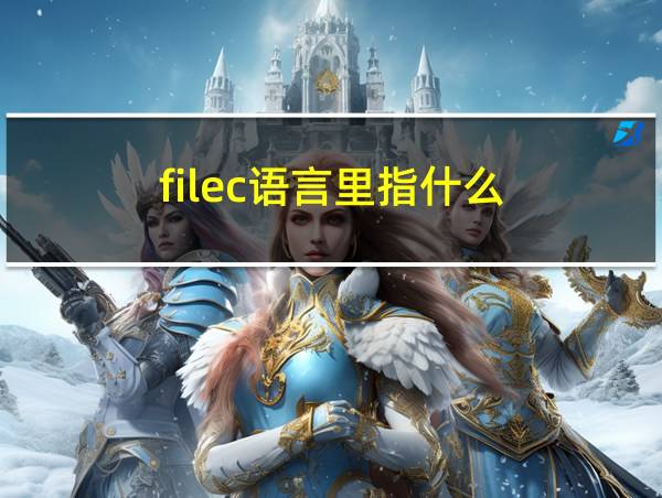 filec语言里指什么的相关图片