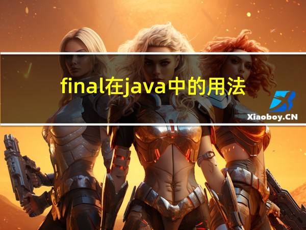 final在java中的用法的相关图片