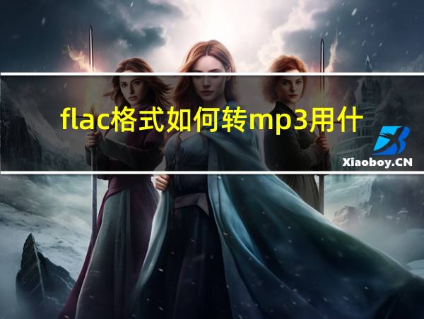 flac格式如何转mp3用什么软件的相关图片