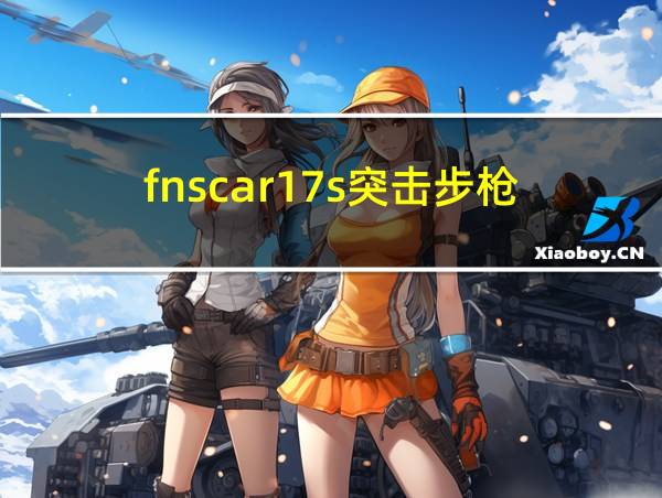 fnscar17s突击步枪的相关图片