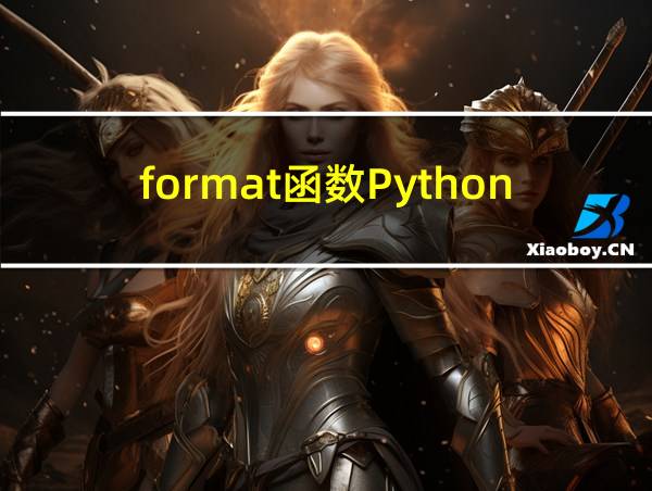 format函数Python的相关图片