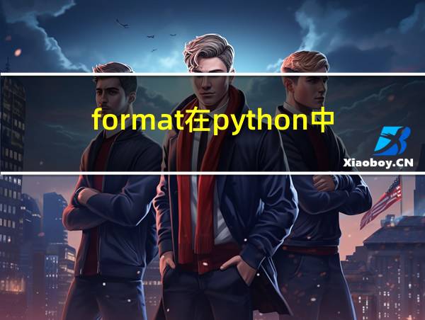 format在python中的用法赋值的相关图片