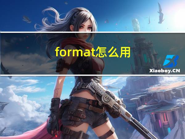 format怎么用的相关图片