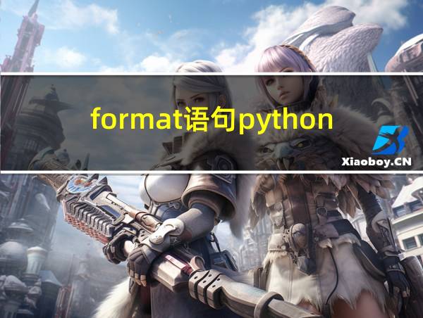 format语句python的相关图片