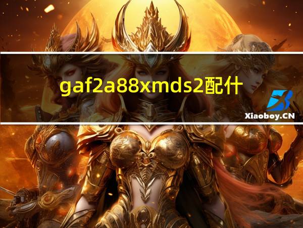 gaf2a88xmds2配什么cpu的相关图片