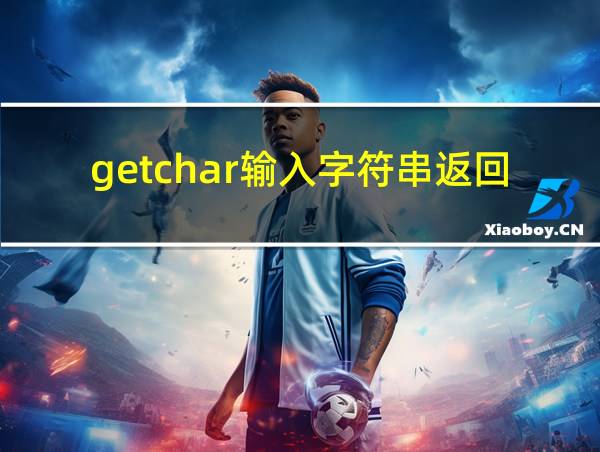 getchar输入字符串返回什么数的相关图片