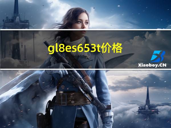 gl8es653t价格的相关图片