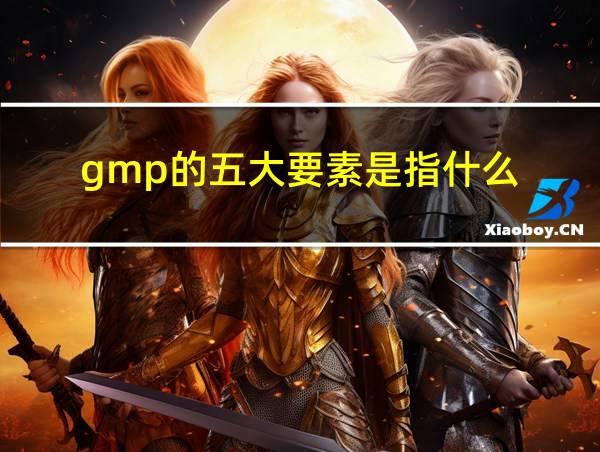 gmp的五大要素是指什么的相关图片