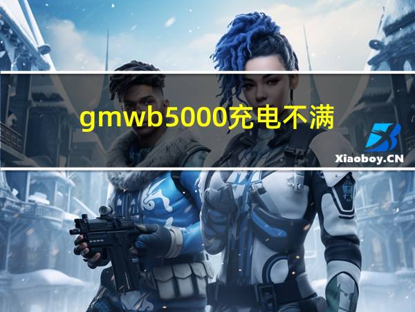 gmwb5000充电不满的相关图片