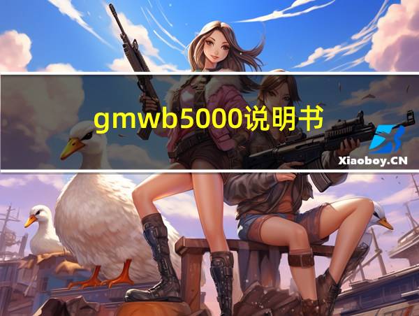 gmwb5000说明书的相关图片