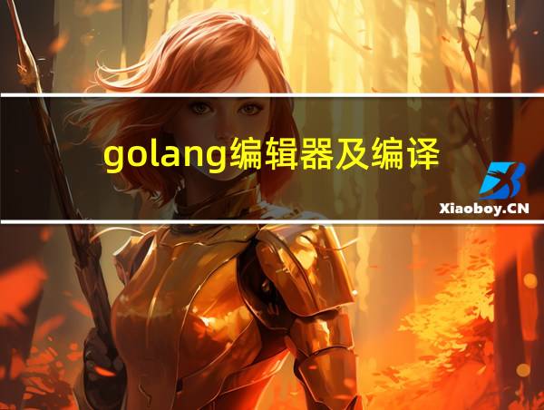 golang编辑器及编译的相关图片