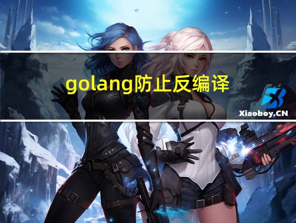 golang防止反编译的相关图片