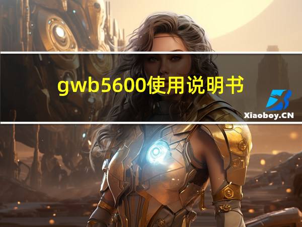 gwb5600使用说明书的相关图片