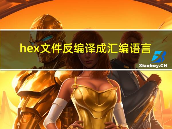 hex文件反编译成汇编语言的相关图片