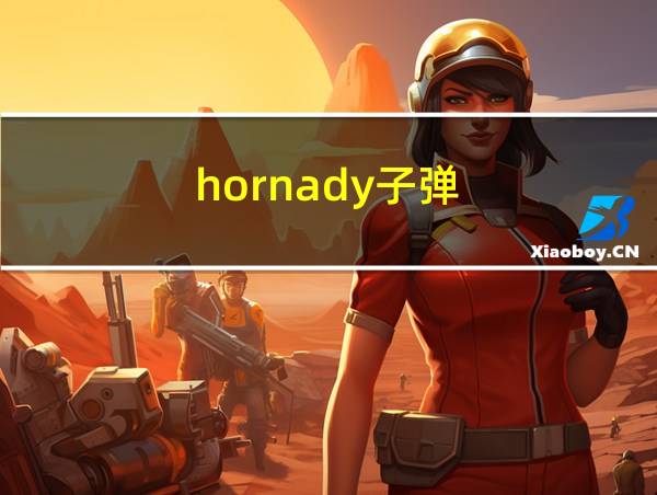 hornady子弹的相关图片