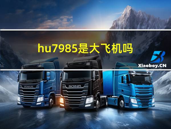 hu7985是大飞机吗的相关图片