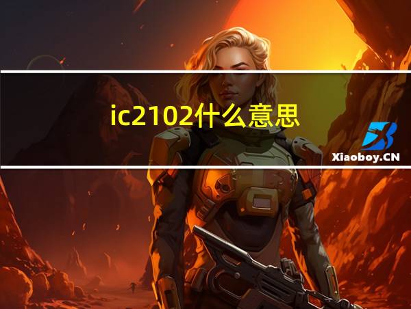 ic2102什么意思的相关图片