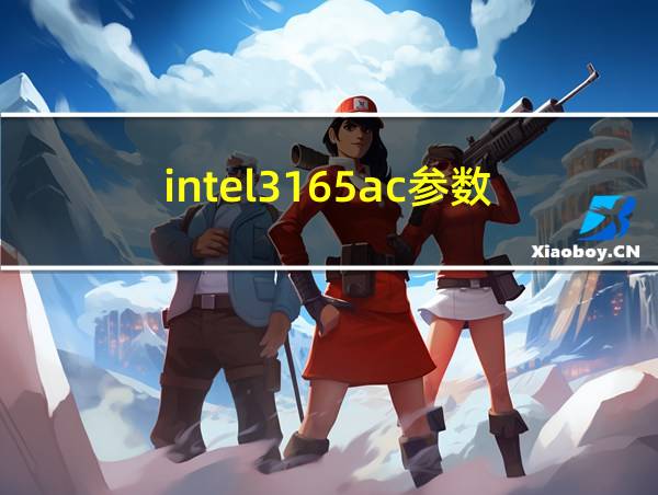 intel3165ac参数的相关图片