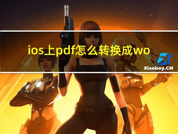 ios上pdf怎么转换成word的相关图片