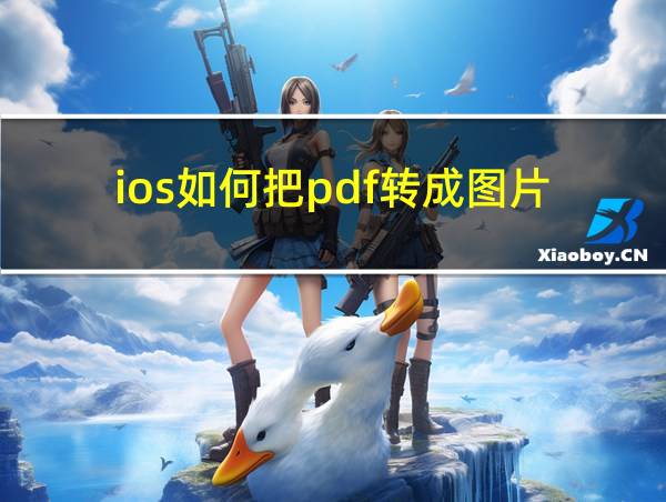 ios如何把pdf转成图片的相关图片