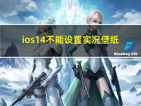 ios14不能设置实况壁纸的相关图片