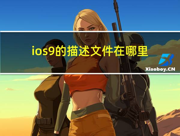 ios9的描述文件在哪里的相关图片