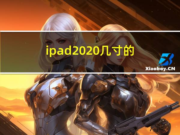 ipad2020几寸的的相关图片