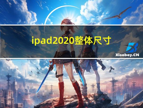 ipad2020整体尺寸的相关图片