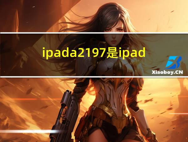 ipada2197是ipad几寸的相关图片