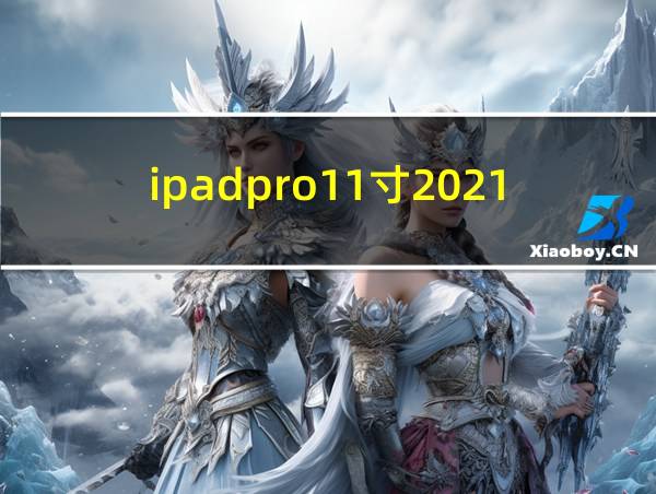 ipadpro11寸2021的相关图片