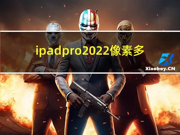 ipadpro2022像素多少的相关图片