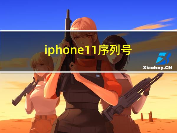 iphone11序列号的相关图片