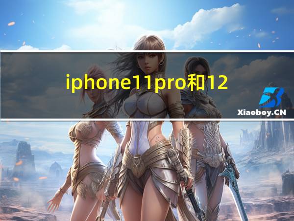 iphone11pro和12哪个好的相关图片