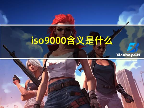 iso9000含义是什么的相关图片