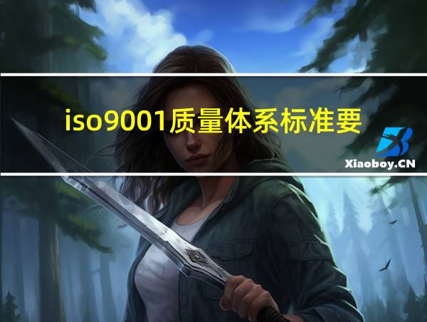 iso9001质量体系标准要求条款的相关图片