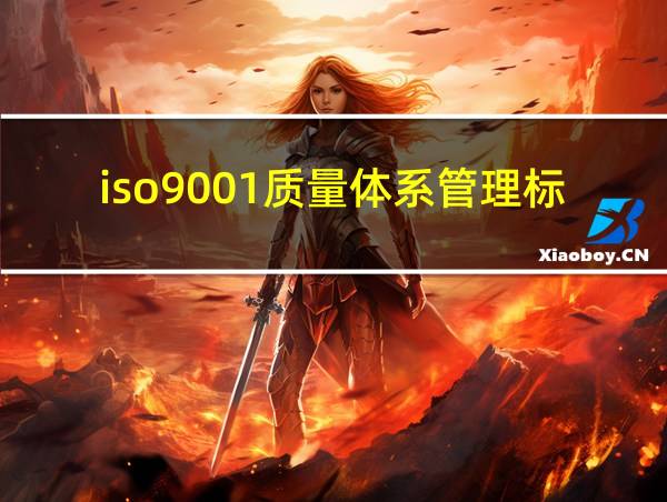 iso9001质量体系管理标准的相关图片