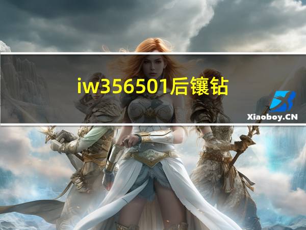 iw356501后镶钻的相关图片