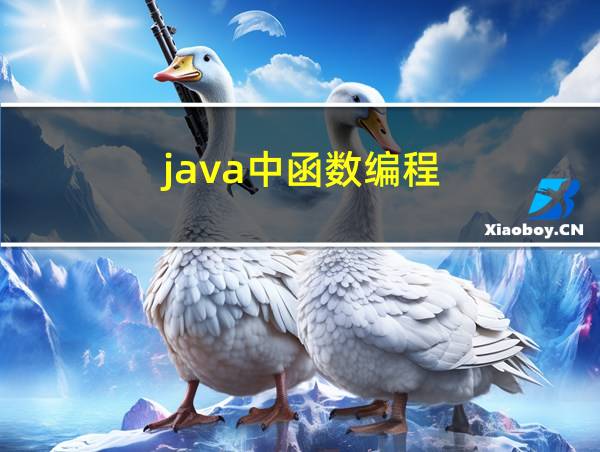 java中函数编程的相关图片