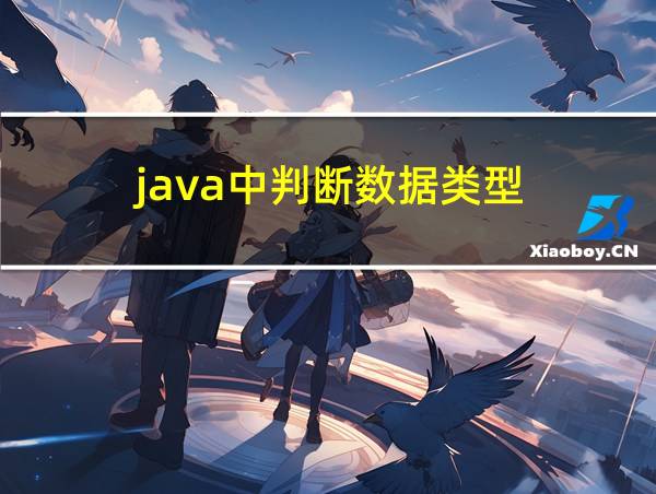 java中判断数据类型的相关图片