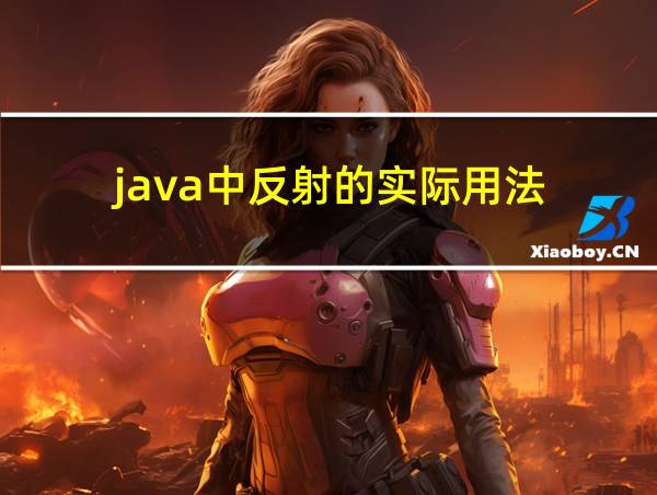 java中反射的实际用法的相关图片