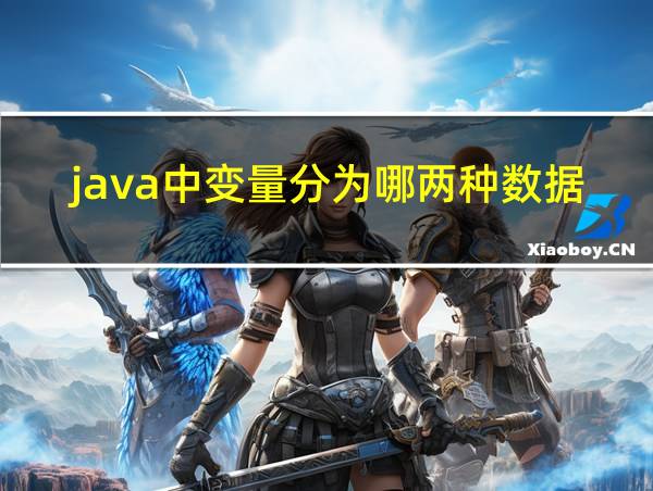 java中变量分为哪两种数据类型的相关图片