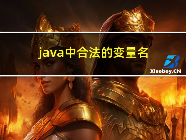 java中合法的变量名的相关图片