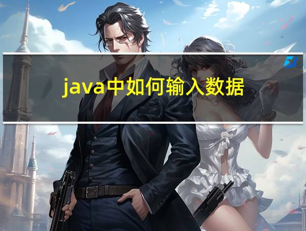 java中如何输入数据的相关图片