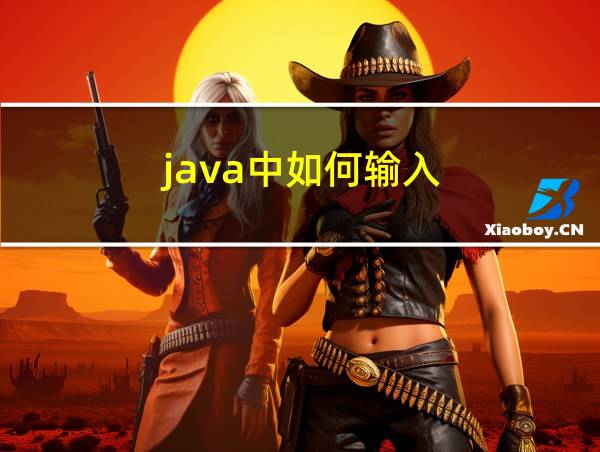 java中如何输入的相关图片