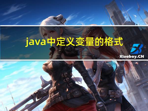 java中定义变量的格式的相关图片