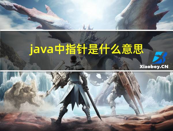 java中指针是什么意思的相关图片