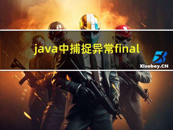 java中捕捉异常finally的相关图片