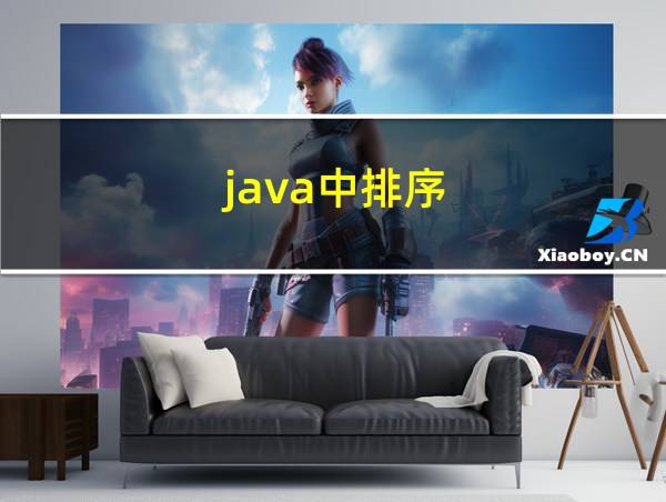 java中排序的相关图片